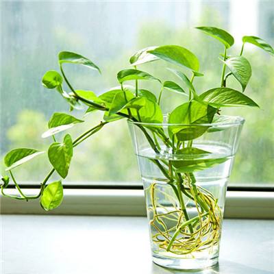 尊龙网址登录官网